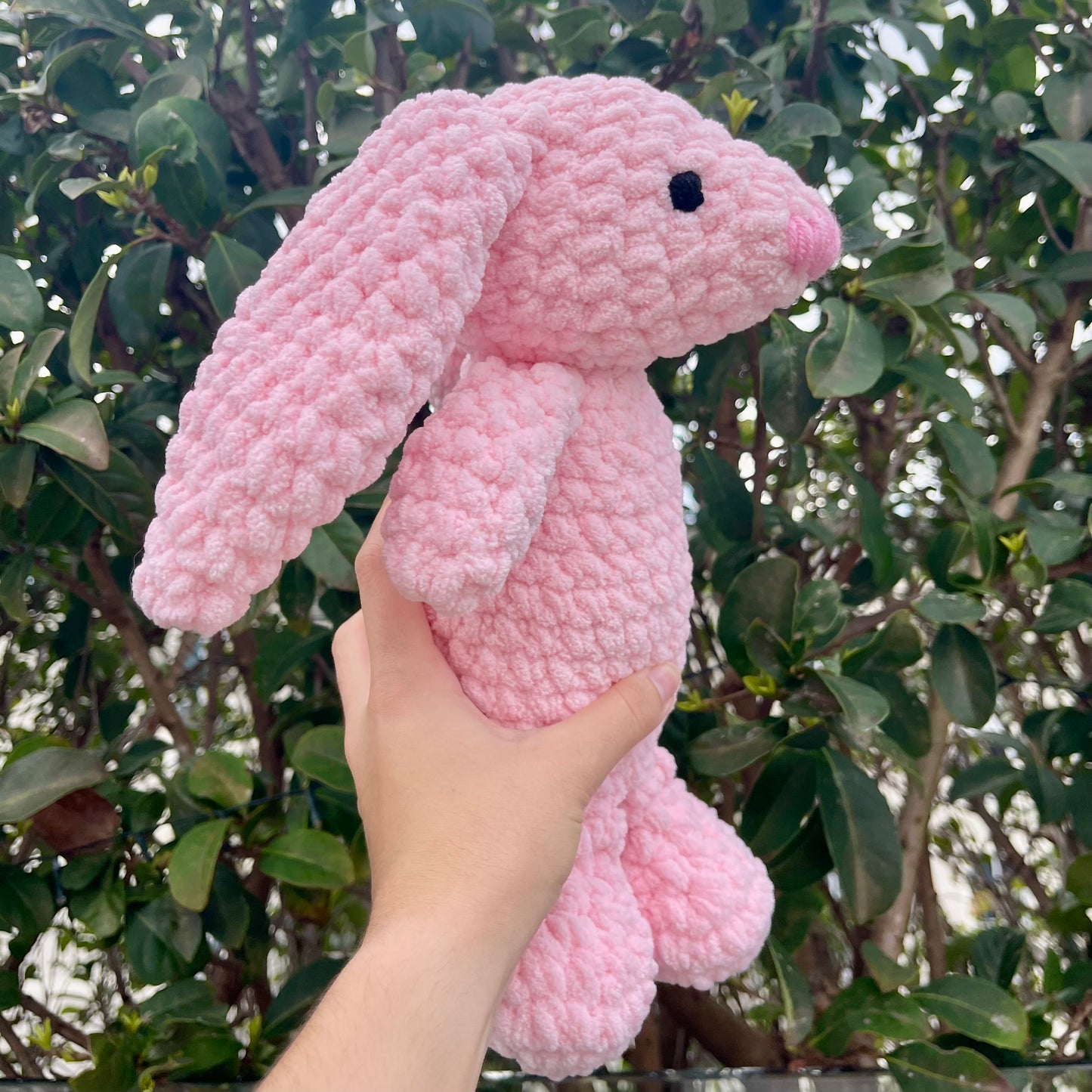 Jellycat Bunny