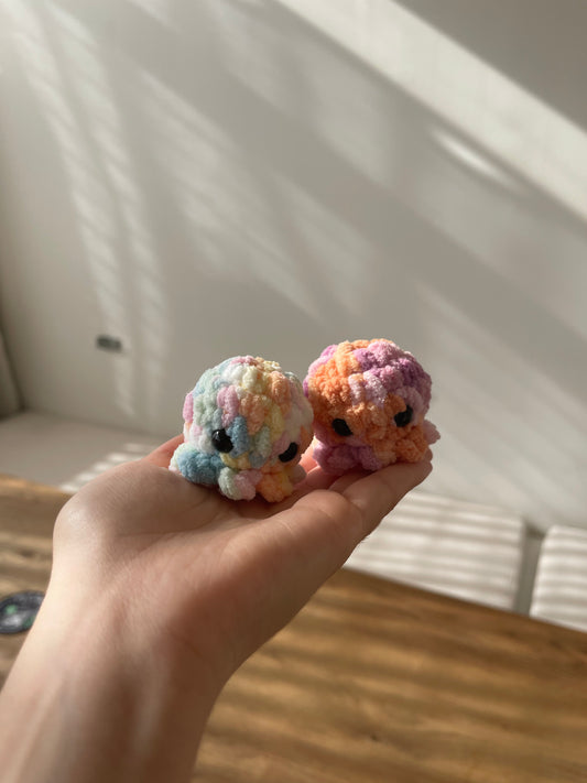Little Octos